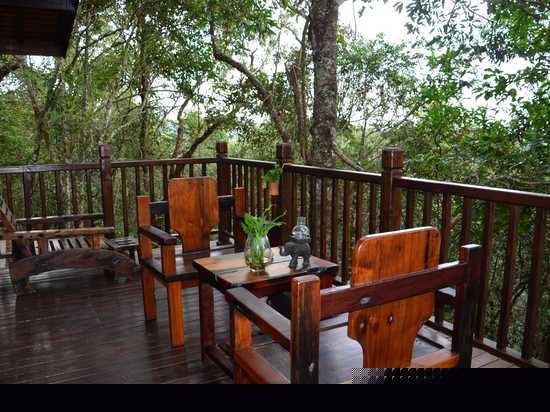 森林独栋木屋别墅（单人房）