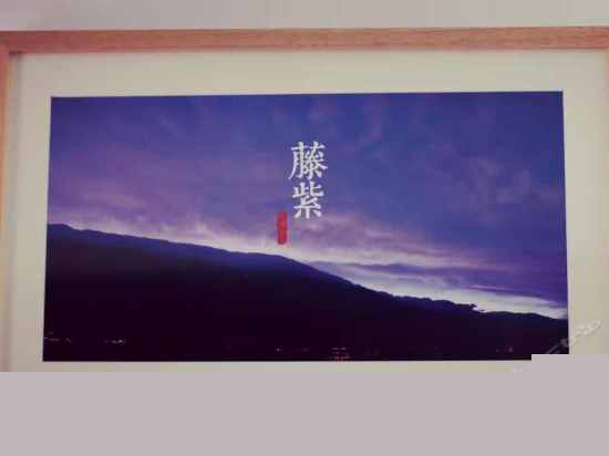 藤紫