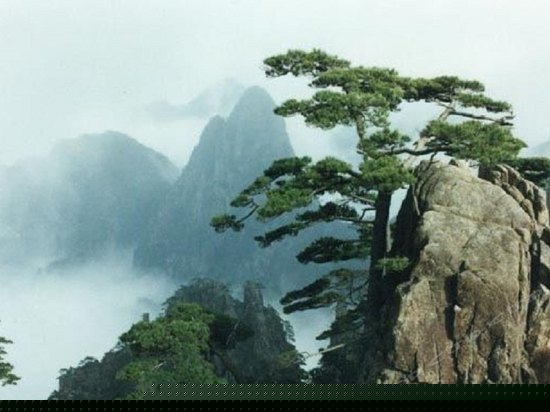 周边图片