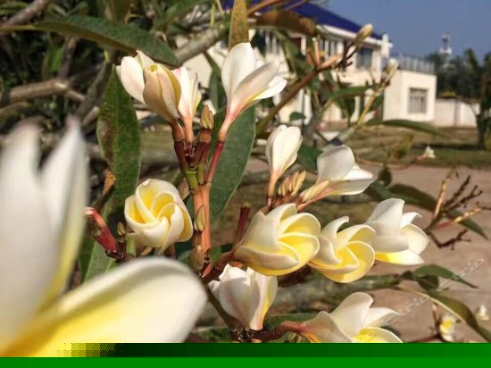 豪华海景大床房