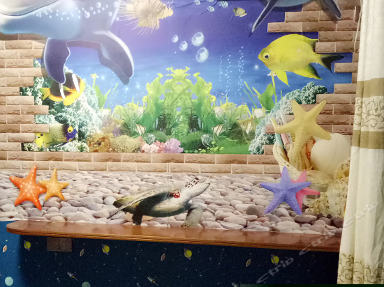 星空夜色超大床房