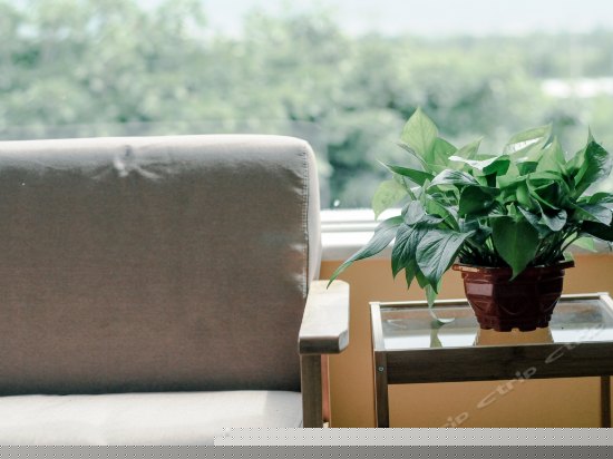 西窗零号超大榻榻米风景间