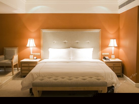 B座贵宾行政豪华单间