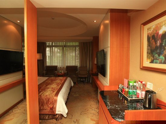 普通单人欧式园景大床房