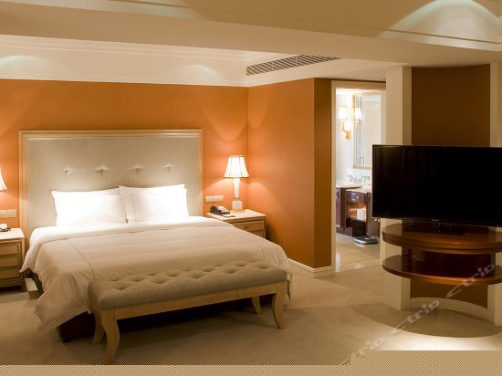 B座贵宾行政豪华单间