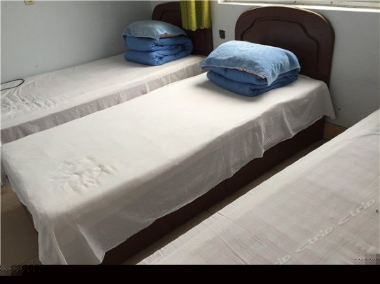 普通三人间（公卫）