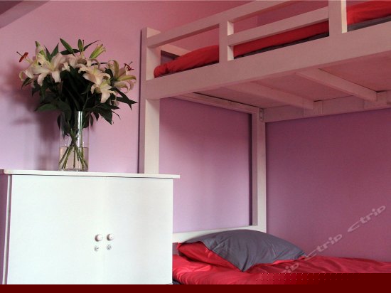 彩色4人间（床位房）