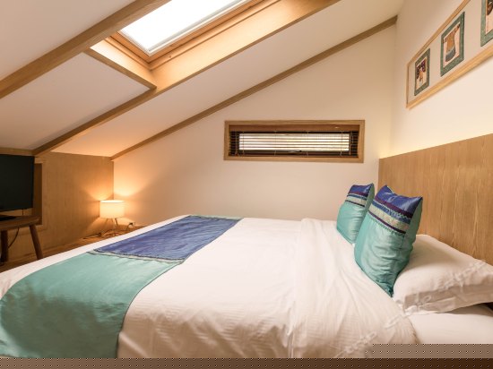 斜顶星空榻榻米（301）