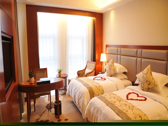 高级双床房