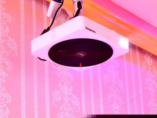 迷情玫瑰影院房