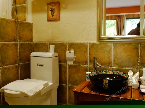 B101豪华园景大床房