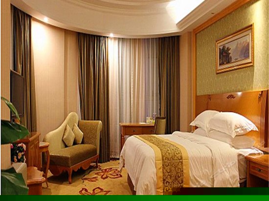 豪华单人房