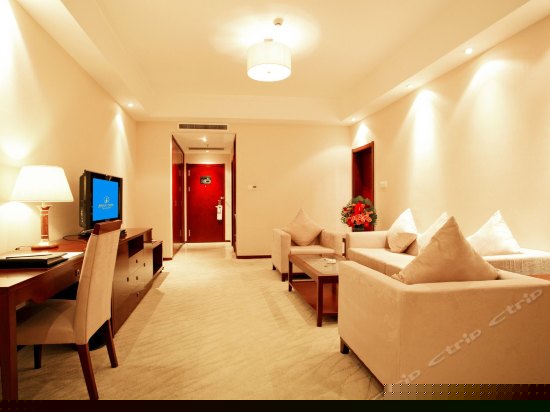 负离子健康豪华套间