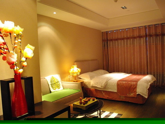 豪华城市景观房