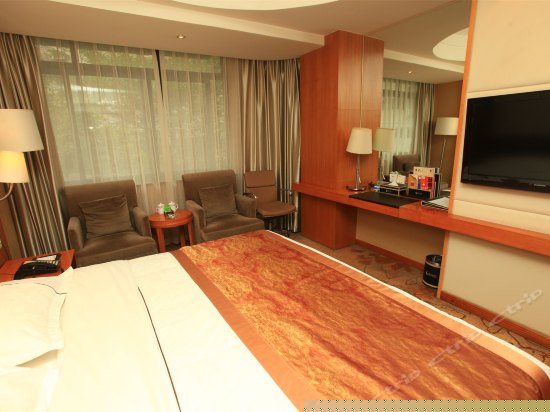 普通单人欧式园景大床房