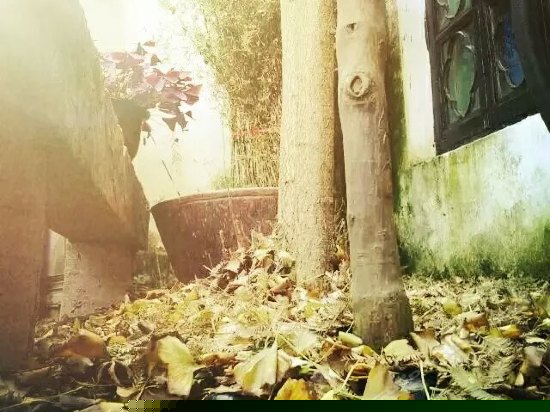 古典雕花庭院大床房