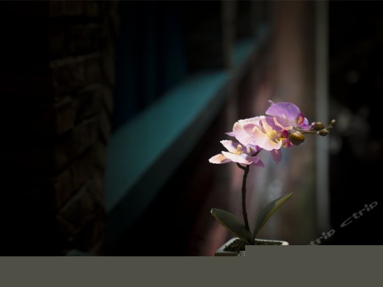 特色江景大床房