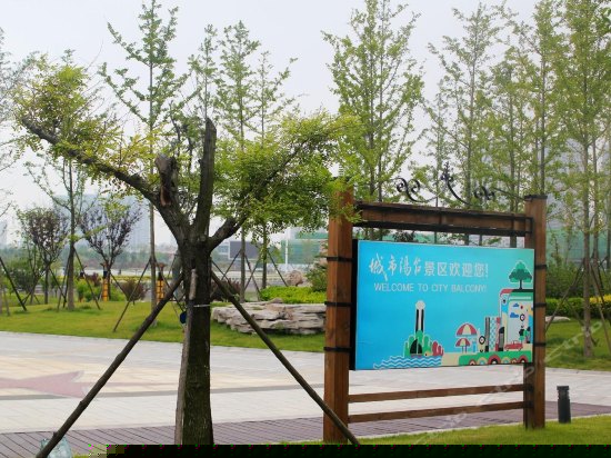 豪华市景大床房