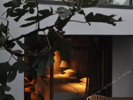 私密花园阳光双床房-甽