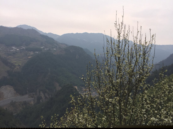 眺望远景