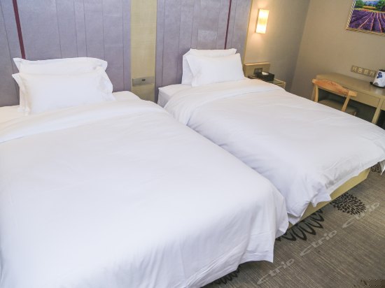 高级双床房（无窗）