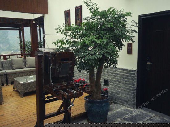 阳光庭院观景套房