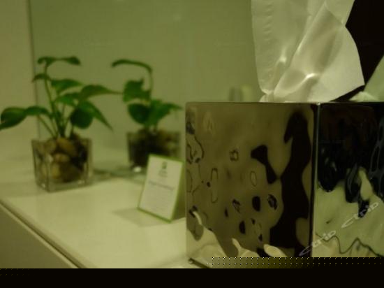 假日豪华大床房