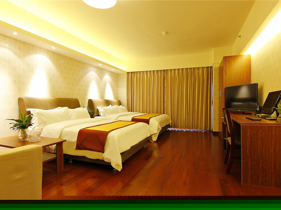 豪华市景家庭房