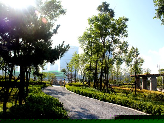 魅力市景双床房