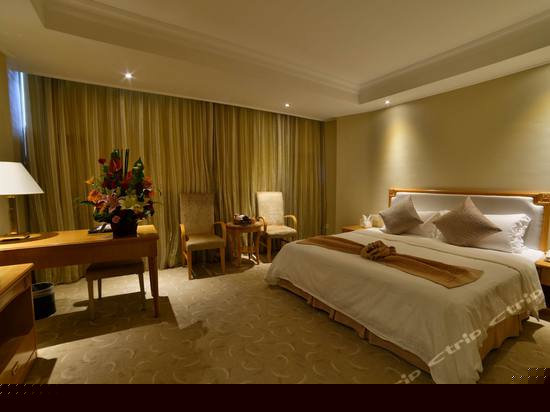 商务大床房A
