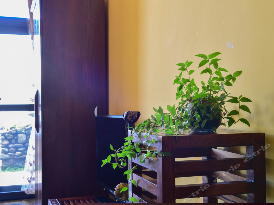 海景花园双床房