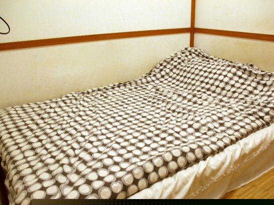 主题间（公卫）