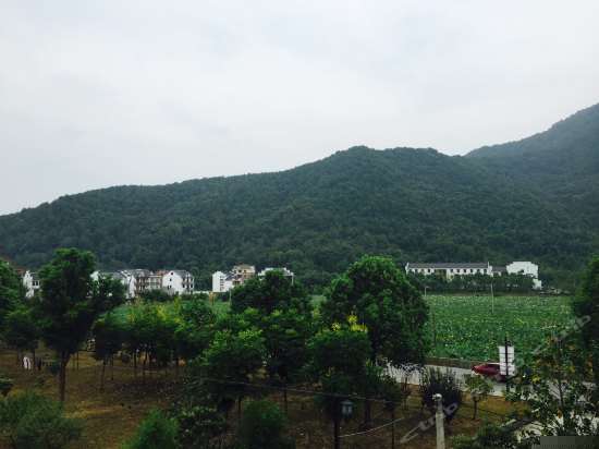 中式花景家庭亲子套房