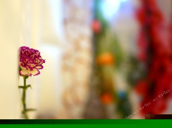 101地中海豪华双床房