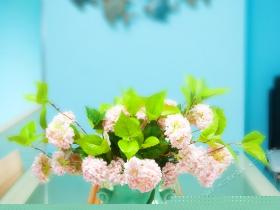 醉时光套房（两房两厅两卫）