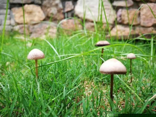 北欧独立温泉房