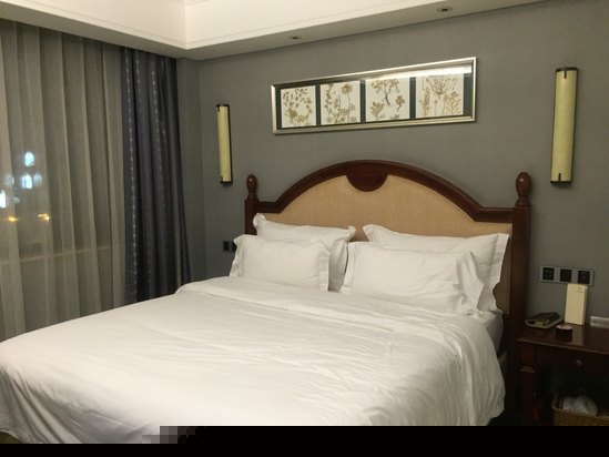 酒店房型