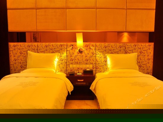 标准双床房(无窗)