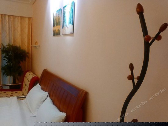 豪华全海景大床一房一厅