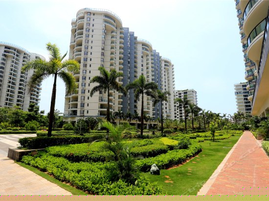 豪华海景双床房