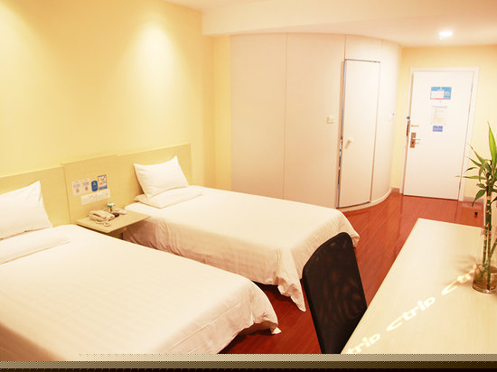 高级双床房