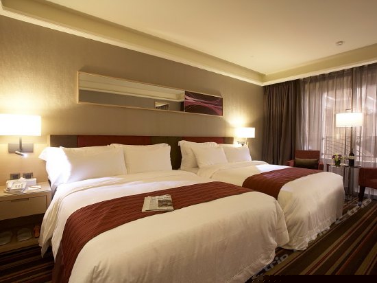 豪华客房双人房