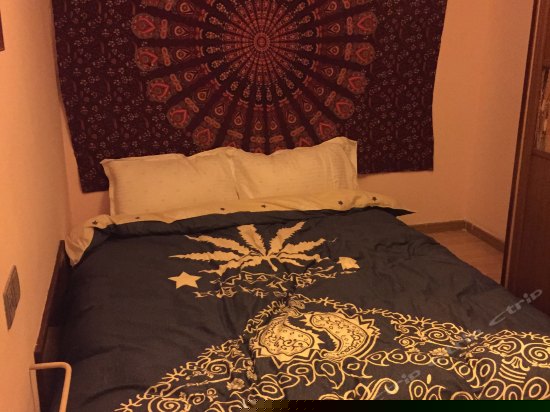 收藏家别墅套房