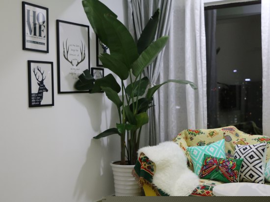 温馨舒适大床房