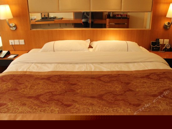 普通单人欧式园景大床房