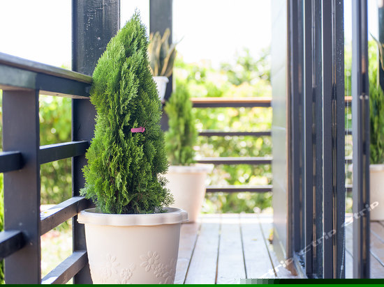 摩登工业六人房