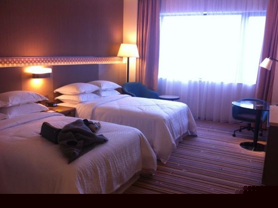 酒店房型