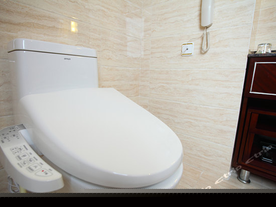 高级行政母子间