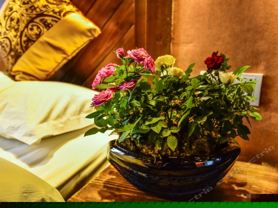 景观复式家庭房