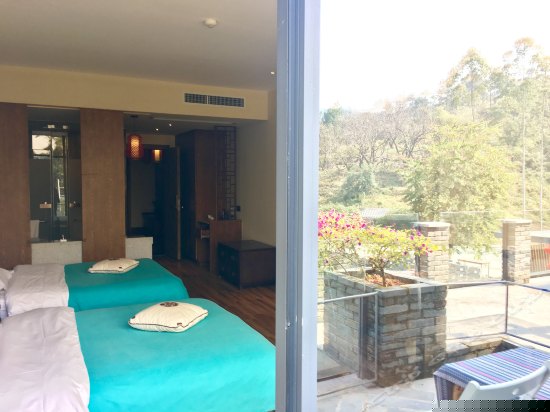 露台景观双床房